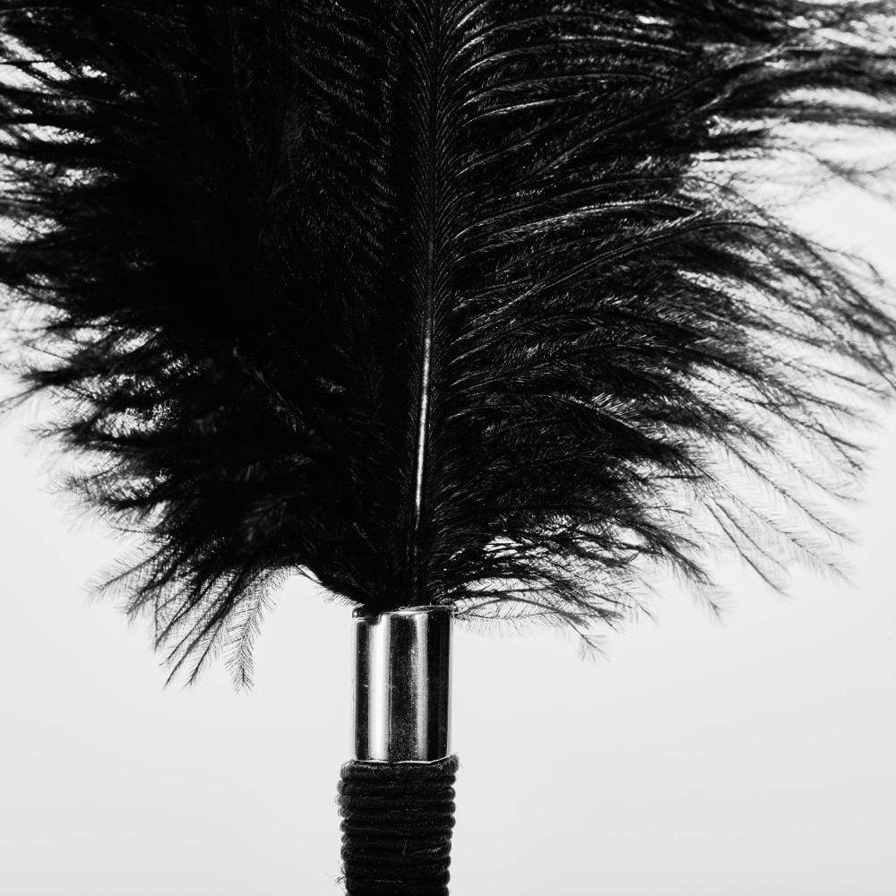 ROOMFUN Ostrich Feather Flirting Adult Couple Sex Toy